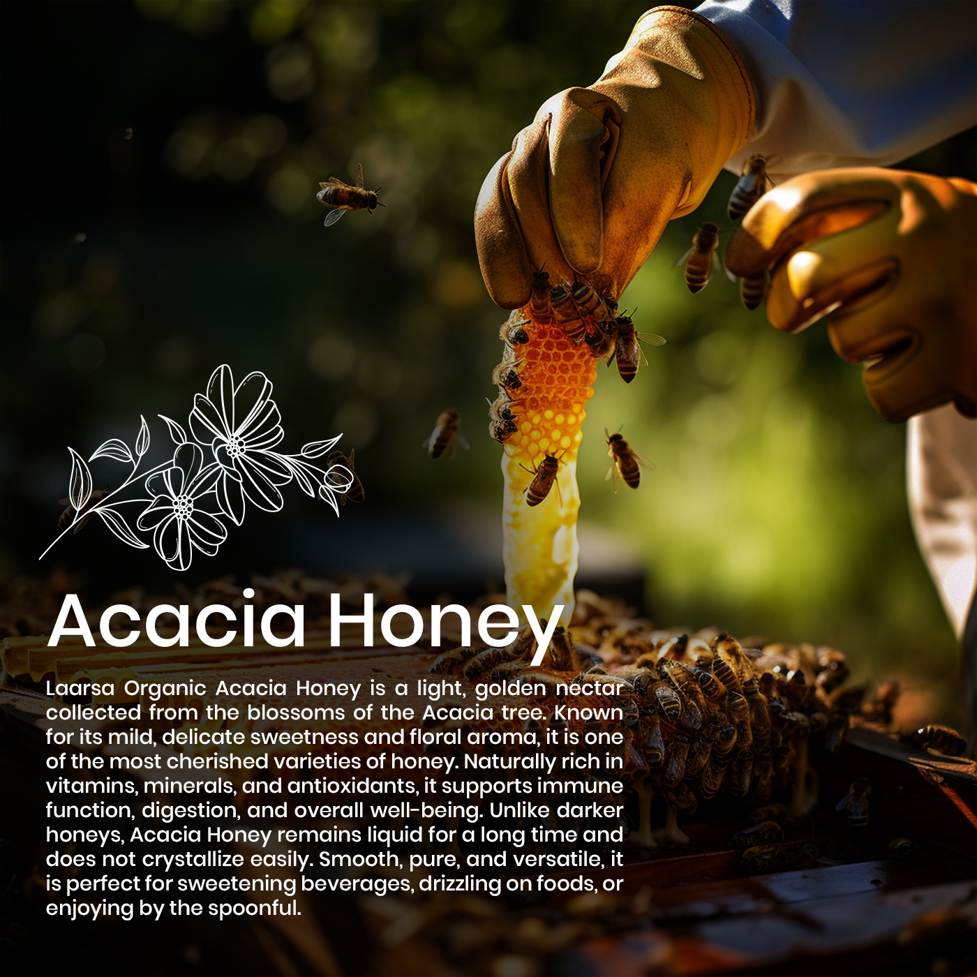 Acacia Honey